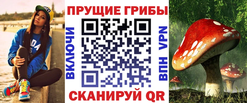 Псилоцибиновые грибы Cubensis  мега сайт  Сосновоборск  продажа наркотиков 